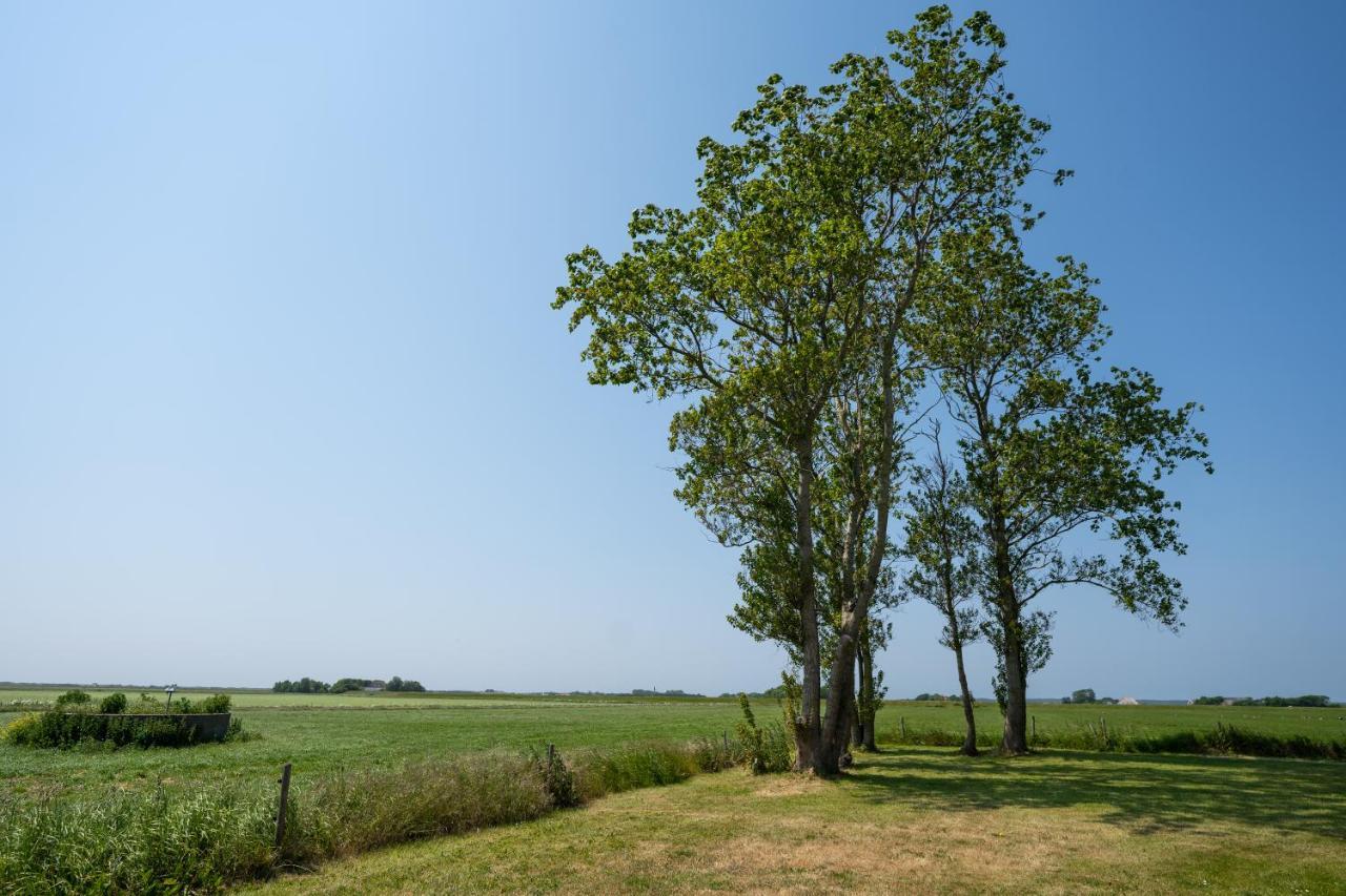 Johanneshoeve - De Mooiste Plek Op Texel Ден-Хорн Экстерьер фото